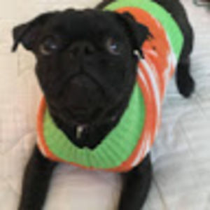 Meet your Posher, Wynnie